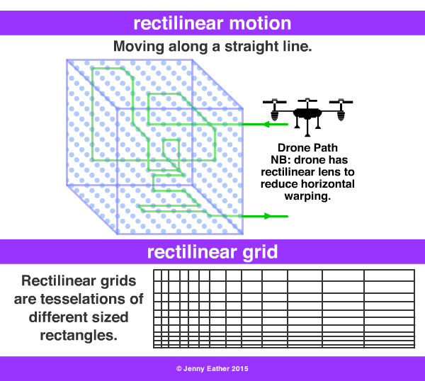 rectilinear A Maths Dictionary for Kids Quick Reference by Jenny Eather